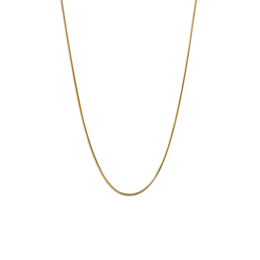 Asta Thin Snake Chain Necklace- Gold